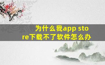 为什么我app store下载不了软件怎么办